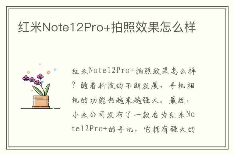 红米Note12Pro+拍照效果怎么样